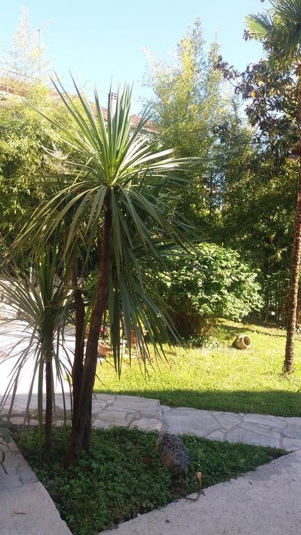 Apartman Taraca Villa Knezevic Herceg Novi Exterior photo